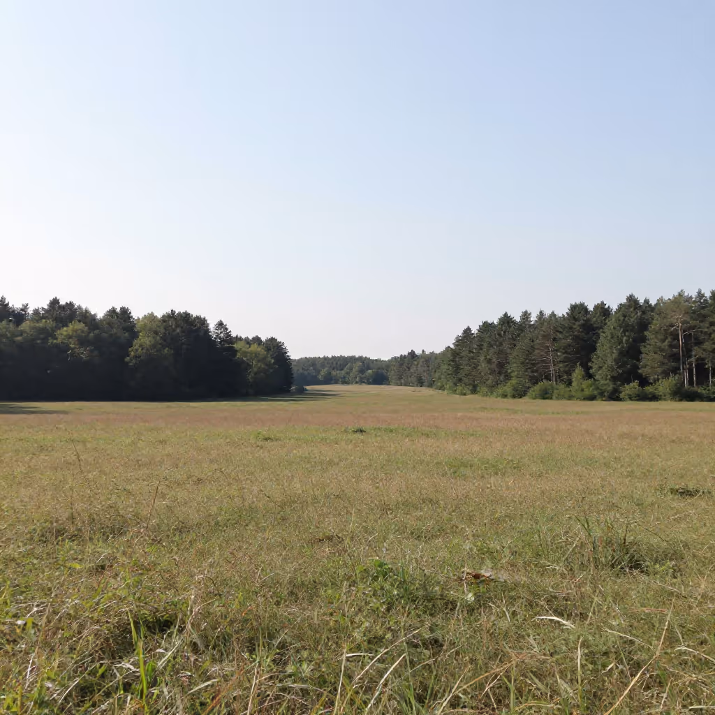 Visual example for Fläche: die Fläche