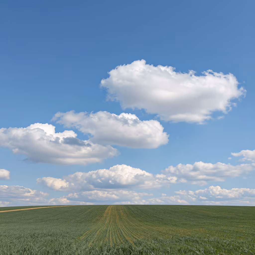 Visual example for Wolke