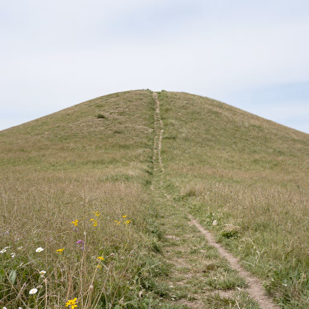 Visual example for Erhebung