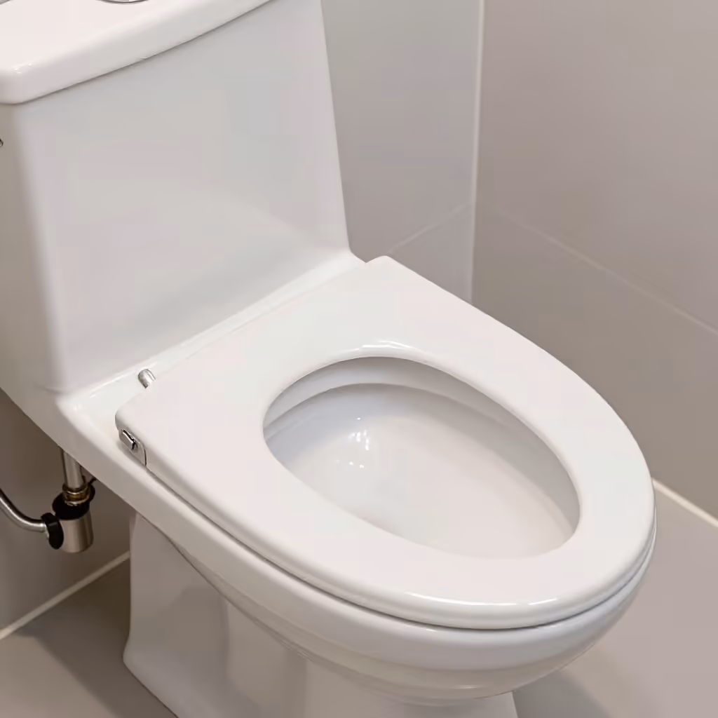 Visual example for Toilette: die Toilette