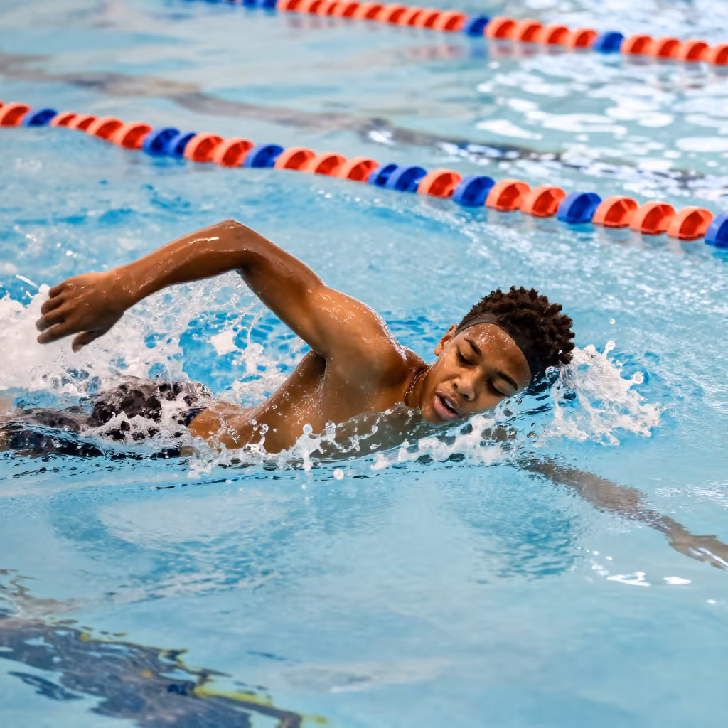 Visual example for Schwimmer: der Schwimmer