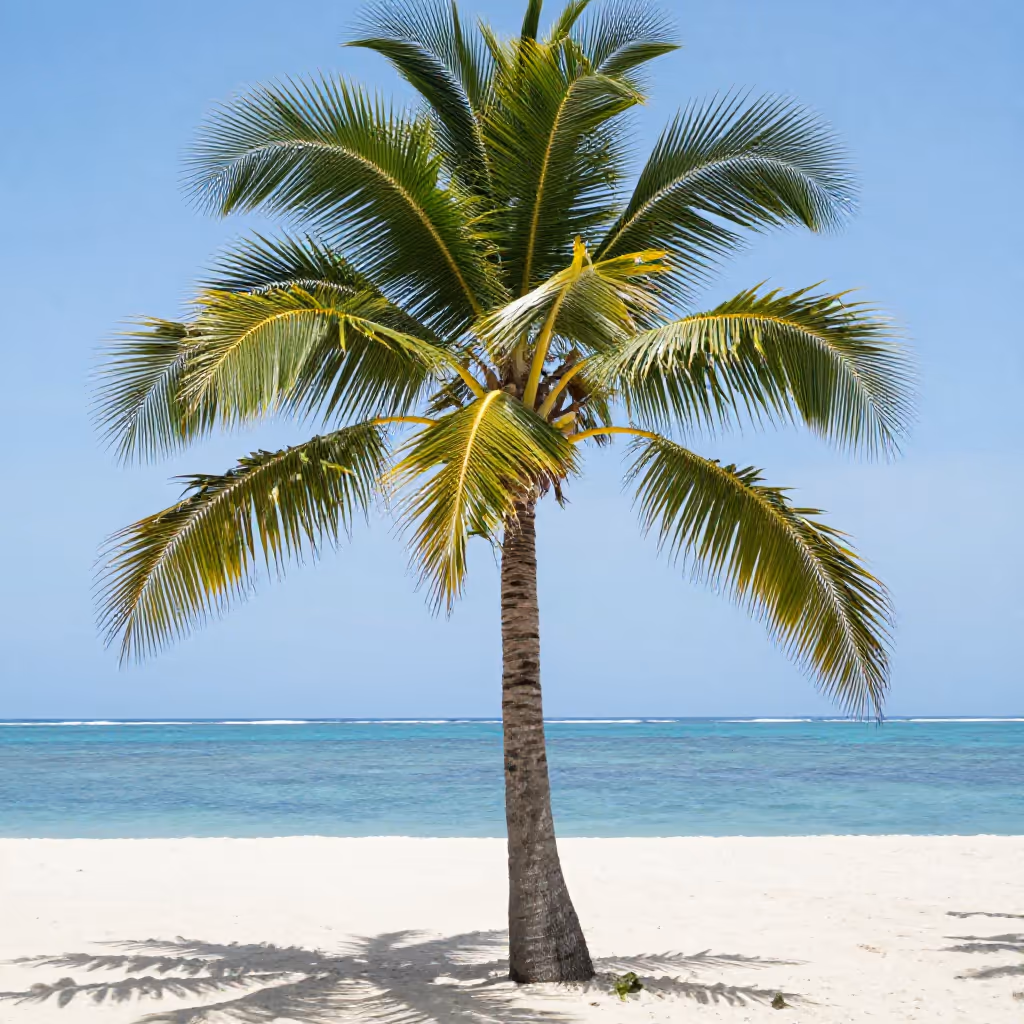 Visual example for Palme: die Palme