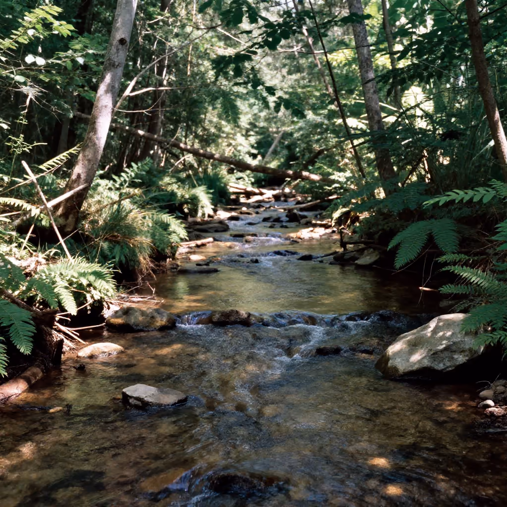 Visual example for Creek: der Creek