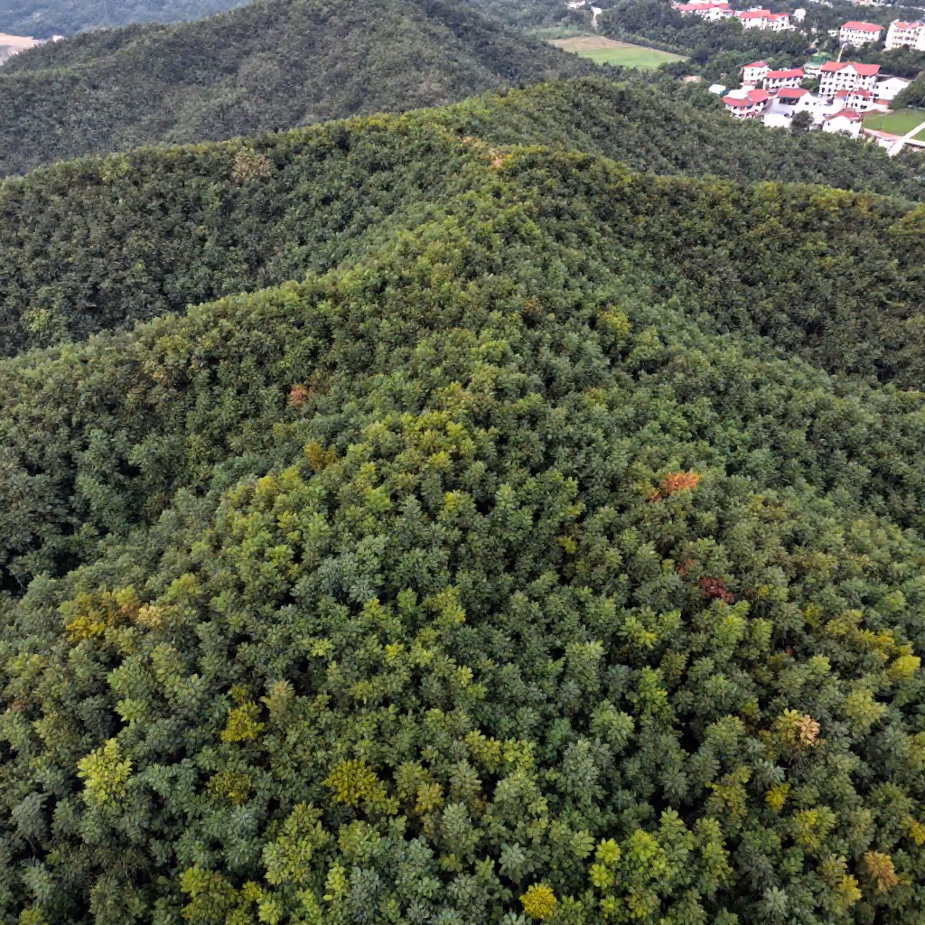 Visual example for zusammenhängend: zusammenhängend