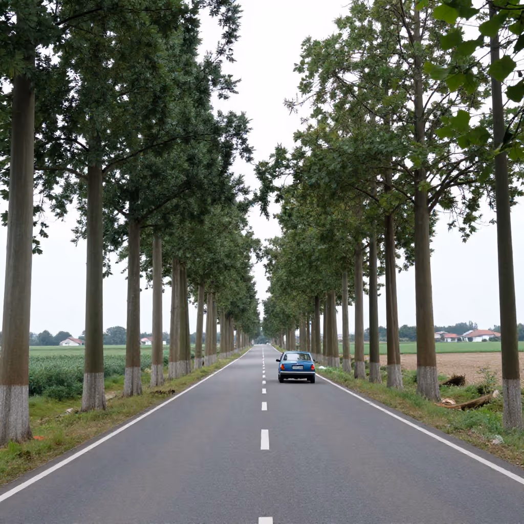 Visual example for Chaussee: die Chaussee