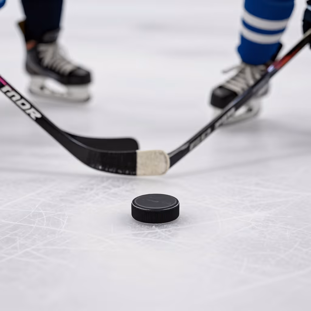 Visual example for Puck: der Puck