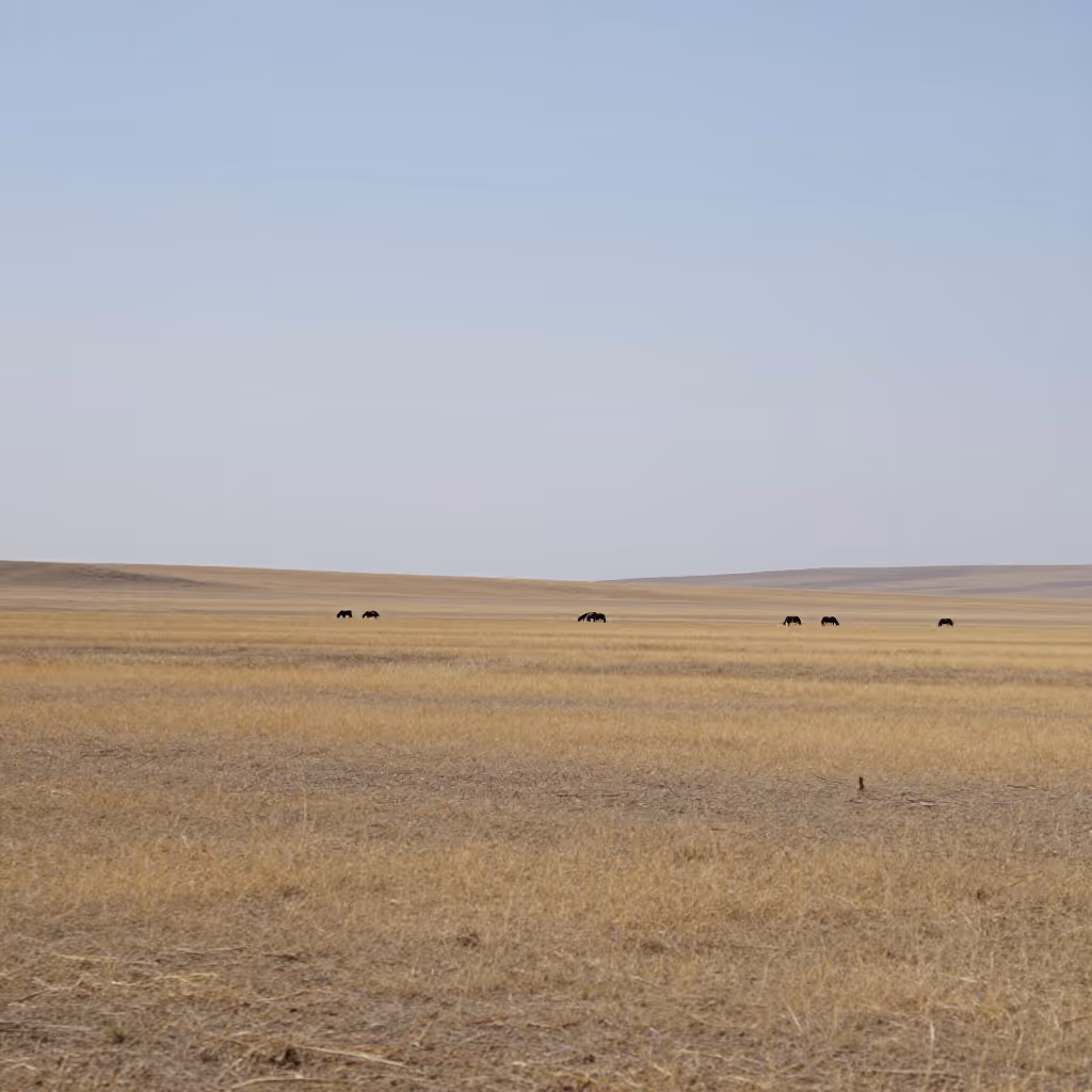 Visual example for Steppe: die Steppe