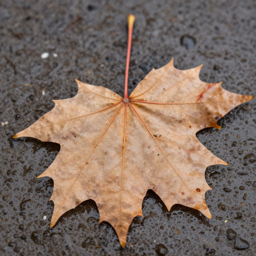 Visual example for rötlich: rötlich